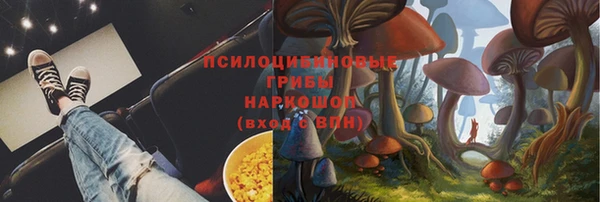 спиды Алзамай