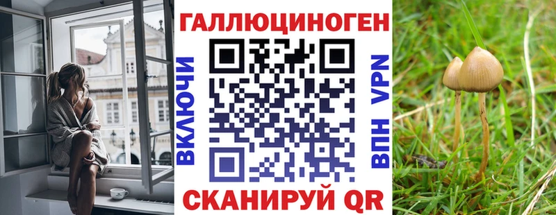 наркота  Анжеро-Судженск  Псилоцибиновые грибы GOLDEN TEACHER 